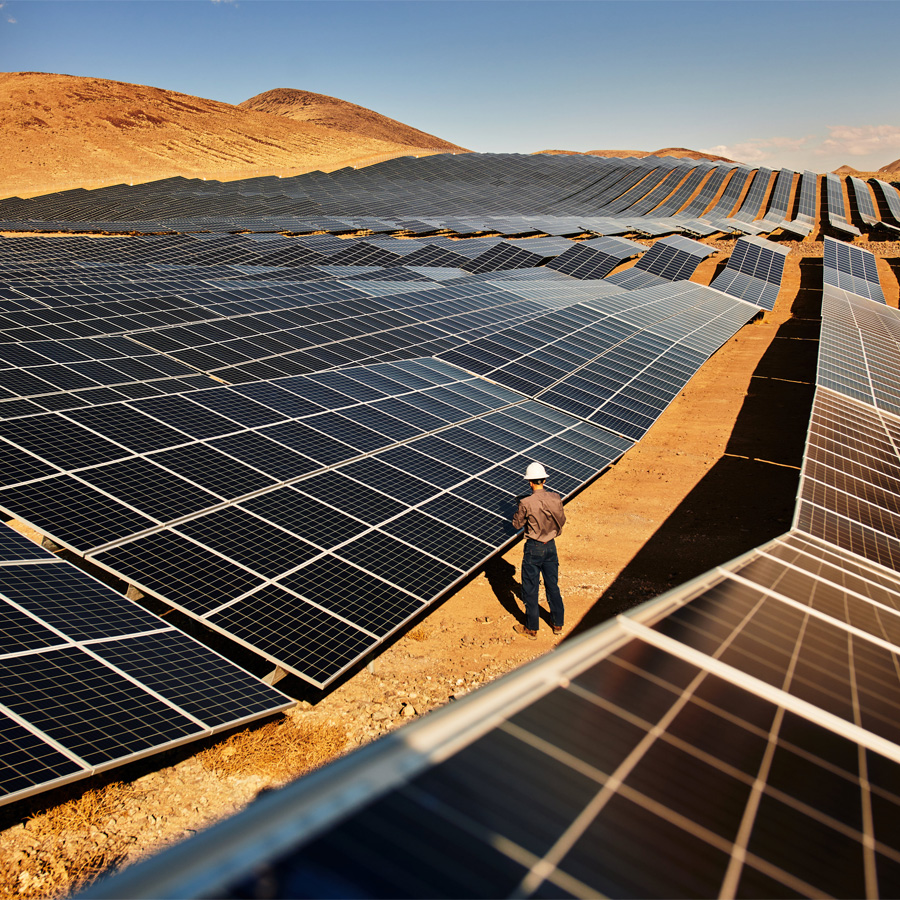 ANIREP Announcements & Notifications